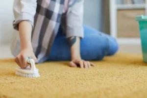 limpiar alfombra